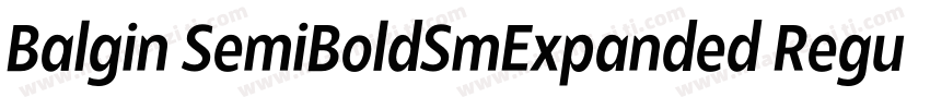 Balgin SemiBoldSmExpanded Regular字体转换